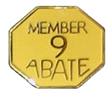 Members 9 Year Pin